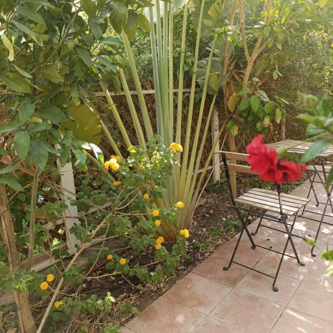 Апартаменты Eilat Stone Terrace-אילת סטון טראס Экстерьер фото